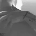 স্টিকার