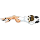 స్టికర్