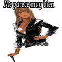 স্টিকার