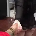 สติกเกอร์