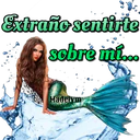 ස්ටිකර්